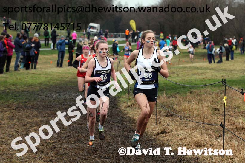 Junior womens Great Edinburgh Cross Country. Photo: David T. Hewitson/Sports for All Pics